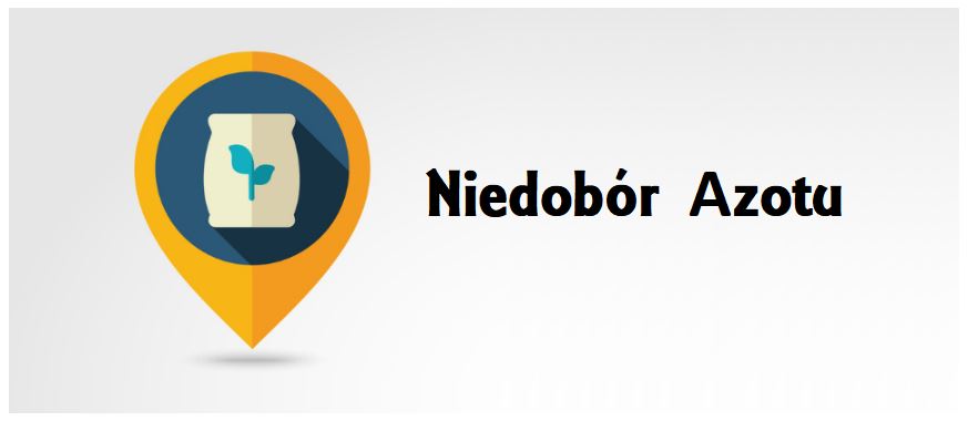 niedobor-azotu.jpg