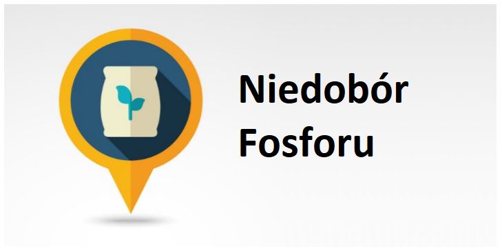 niedobor-fosforu.jpg