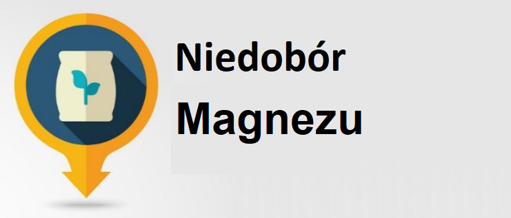 niedobor-magnezu.png